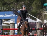 Chimirri B Valentino TosTour 2013- S5 7676 : Arezzo Equestrian Centre, Chimirri Bruno, Toscana Tour 2013, Valentino II, foto di Stefano Secchi ©